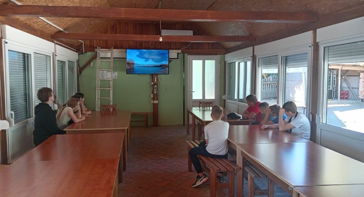 viber_image_2026-09-03_19-09-44-756